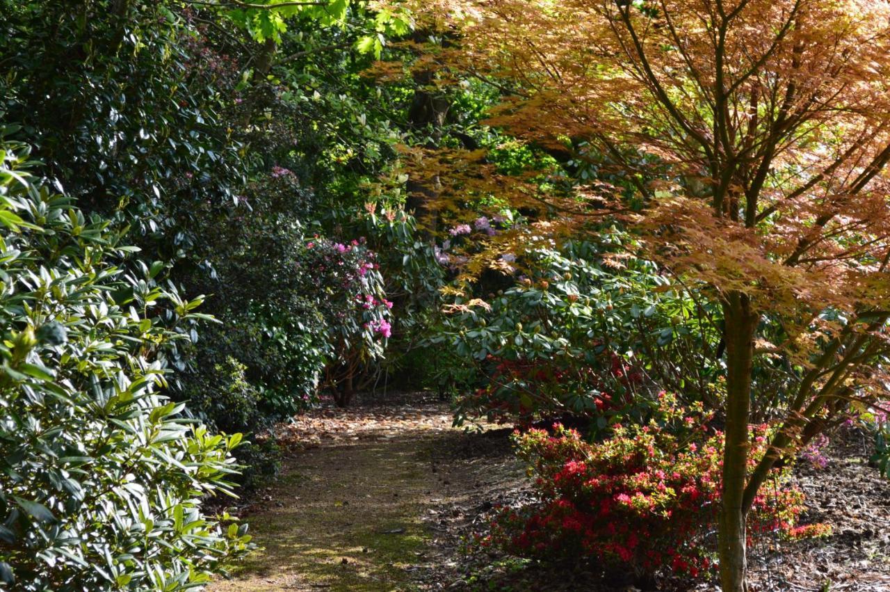 Pinecroft Barn - Relax & Unwind! Appartement Storrington Buitenkant foto